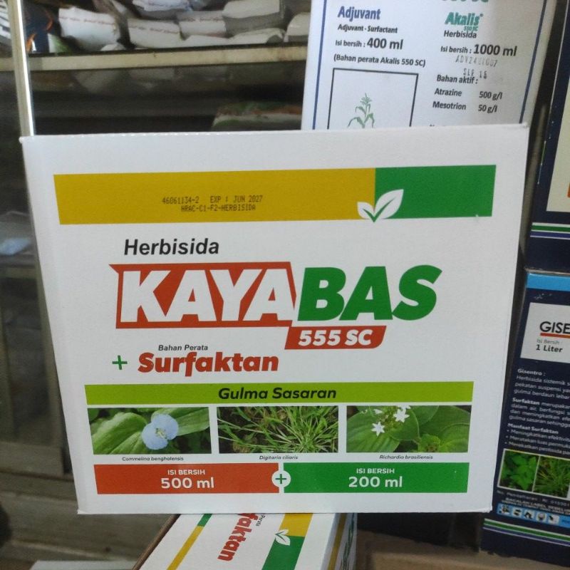 KAYABAS HERBISIDA JAGUNG