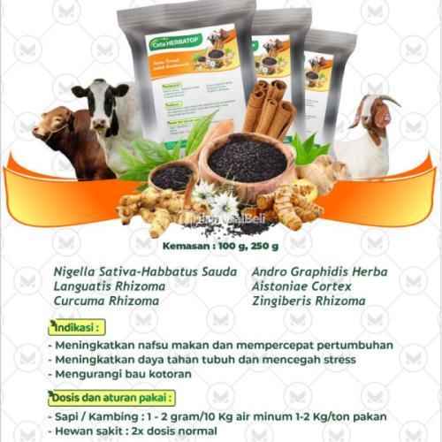 JAMU KAMBING CETA HERBATOP 100 GR - Ruminansia Sapi Kambing Menambah Nafsu Makan Daya Tahan tubuh