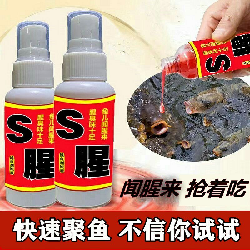 Essen Ikan Mas Nila Impor