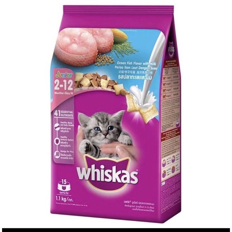 whiskas kitten kemasan 1,1 kg / whiskas junior 1,1 kg