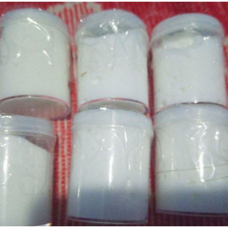 BIBIT PEMUTIH CR DOSTING