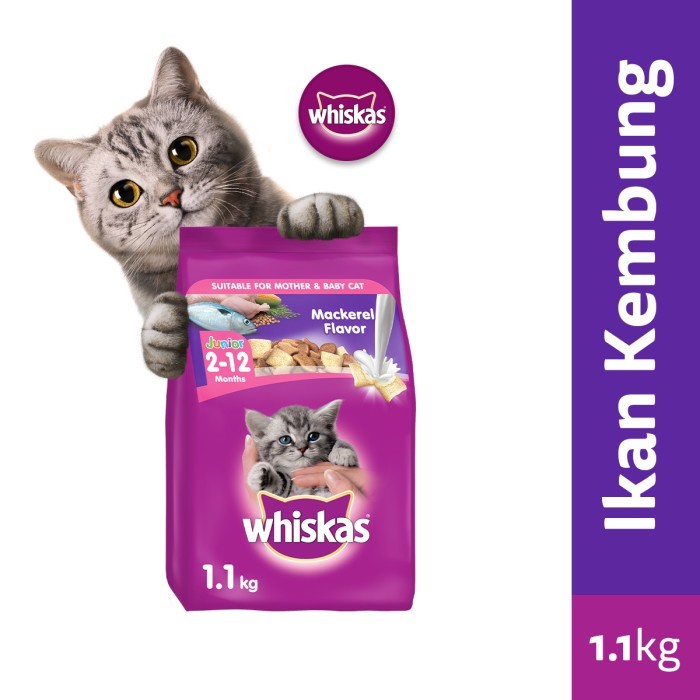 Whiskas Junior Macarel 1.1kg Freshpack Makanan Kering Anak Kucing