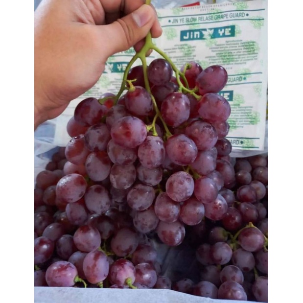 

Anggur Merah Import 1kg