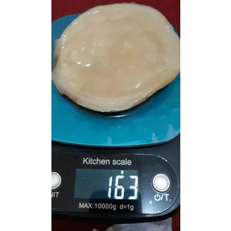 

phh TERMURAH!!! SCOBY ATAU JAMUR DIPO TERMURAH UNTUK MEMBUAT KOMBUCHA ❤ 94