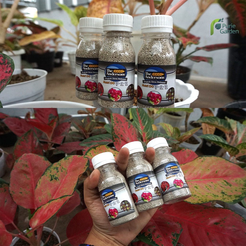 Osmocote Dekastar Pupuk Tanaman Hias Slow Release Nutri DG 18 9 18 Kemasan Botol