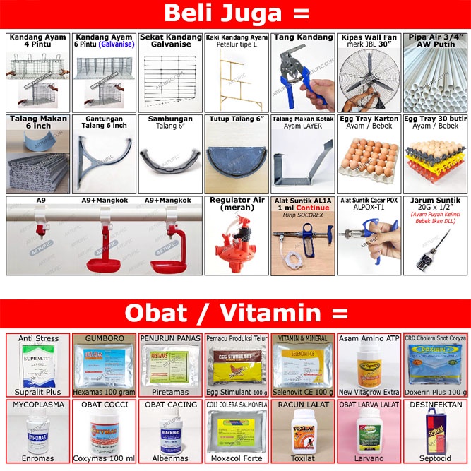 ATAS SAJA untuk Kandang Ayam Petelur ARTUPIC Baterai Kandang