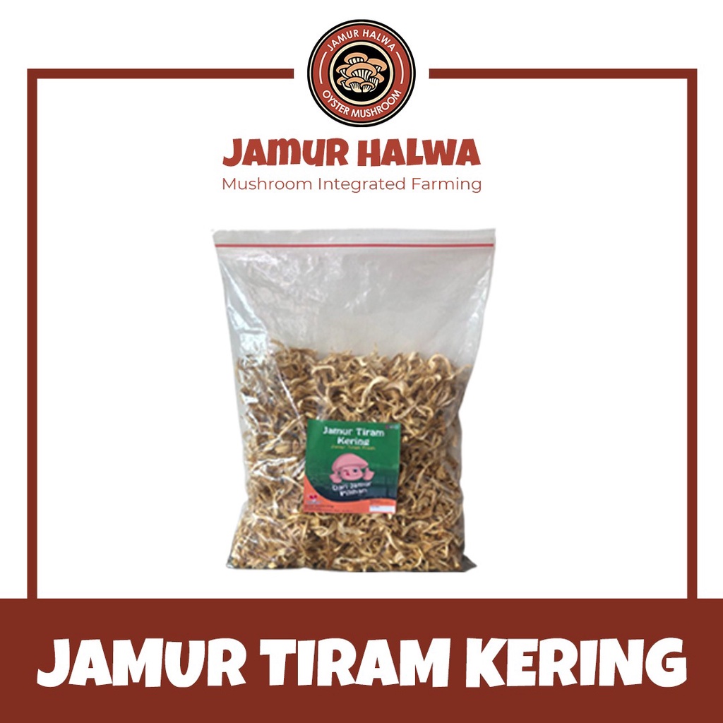 Jamur Tiram Kering
