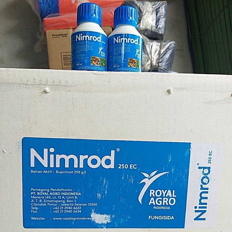 NIMROD 100 ML