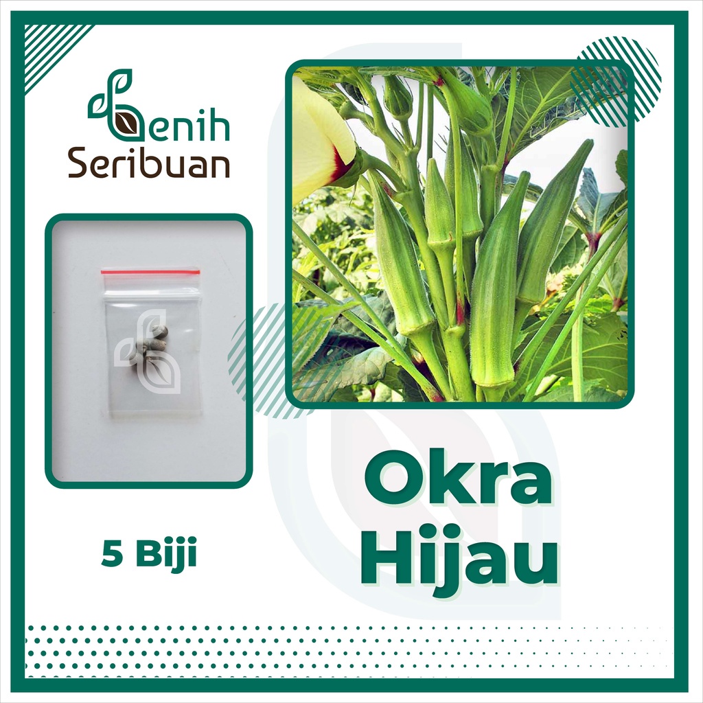 5 Benih Okra Hijau Greenie F1 Hibrida Bibit Sayuran Known You Seed Tanaman Sayur Unggul Berkualitas