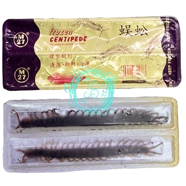 M27 Frozen Centipede  Kelabang Beku Pakan Ikan Arwana Predator & Burung