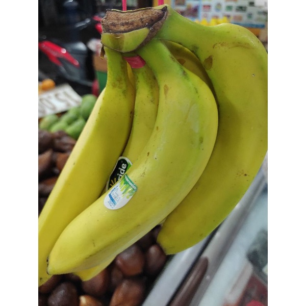 

Pisang Cavendish