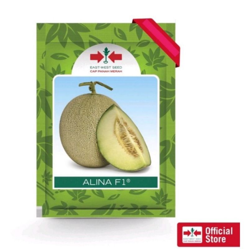 Benih bibit Melon Alina F1 500 butir kemasan original