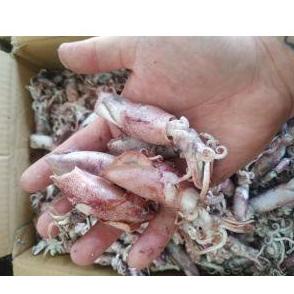 

KodeB6n1M--Baby Cumi / Cumi Asin / Cumi Sotong 250gr