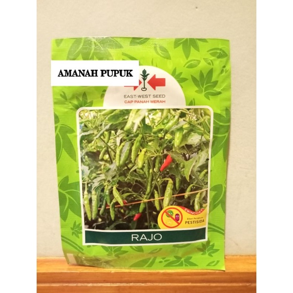 BENIH CABAI RAWIT/BIBIT/RAJO