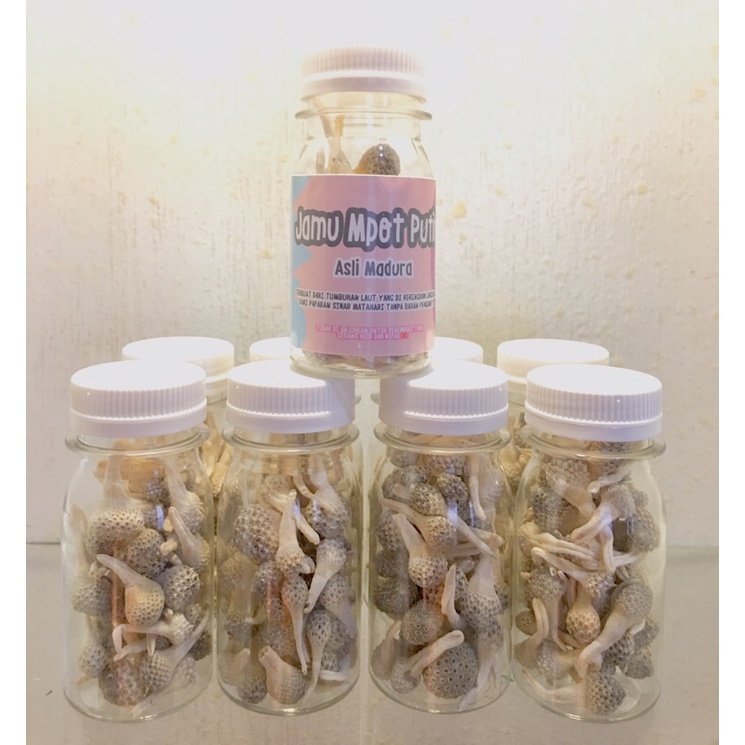 

PAKET USAHA 20 BOTOL (40-50 butir)FREE PIL PINANG ANUM