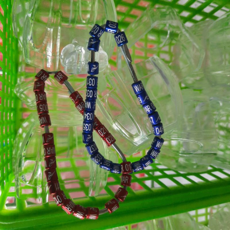 RING SOGON DEWASA / PLECI DEWASA ATAU KENARI (TIDAK BISA PESAN NAMA)