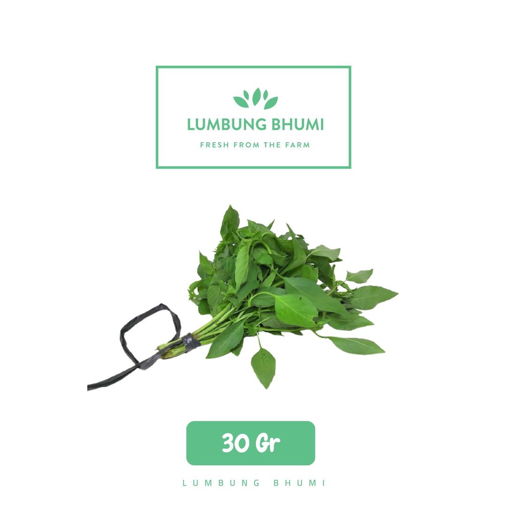 

Lumbung Bhumi - Daun Kemangi 30 Gr ( Sayur Curah )
