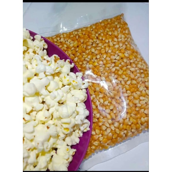 Jagung Popcorn mentah 500gr | biji jagung Popcorn kering