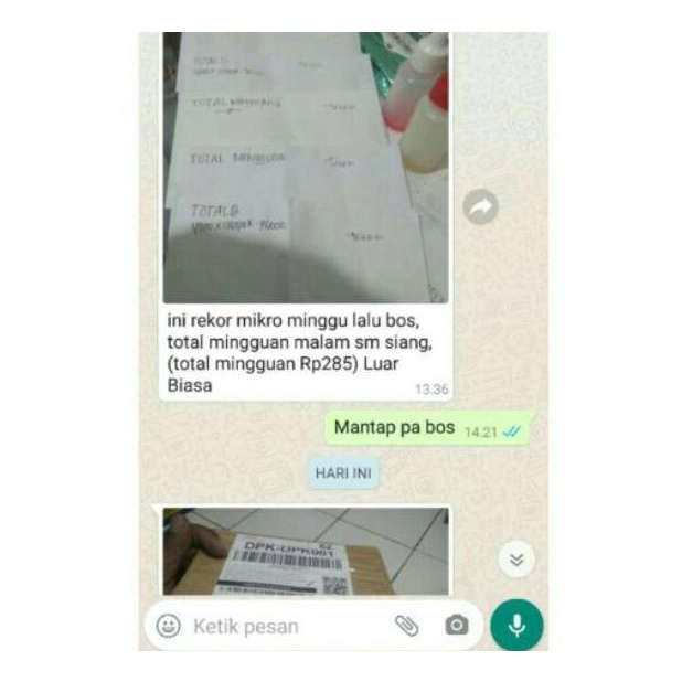 "SPN.31Oc22ᵀ" Essen cacing mikro / micro