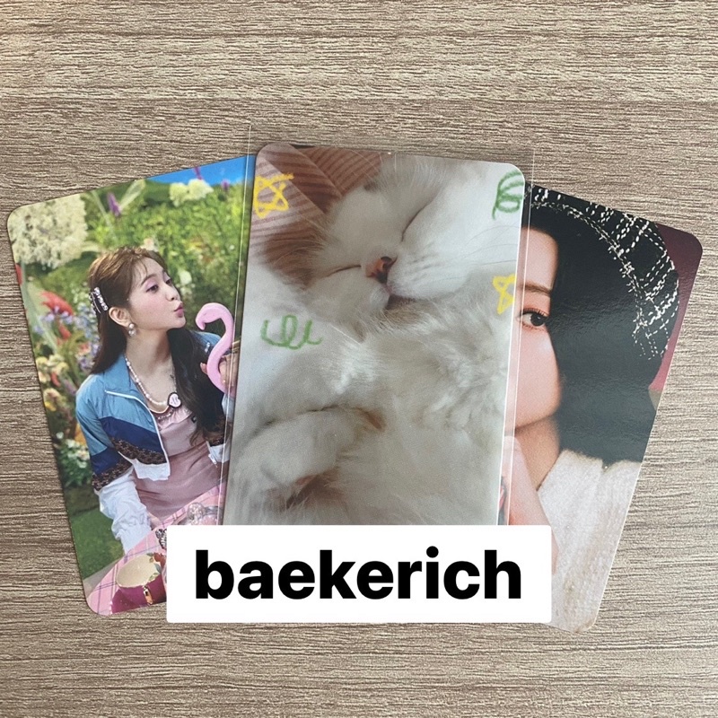 Red Velvet Seulgi Art Book Sleep Ver Lala RV PC Photocard Kucing