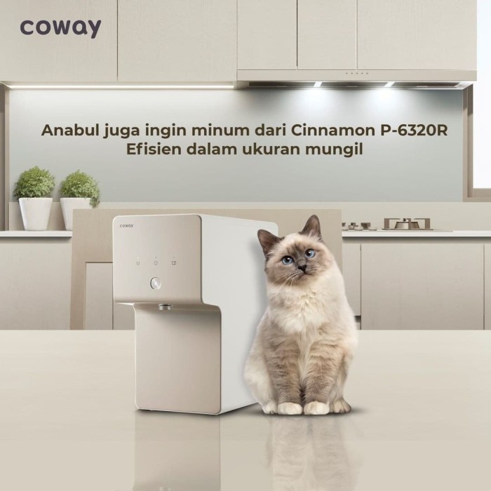 Coway Cinnamon - Water Purifier Reverse Osmosis Saringan Air Filter