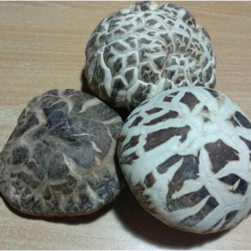

Jamur Hioko/Shiangku/Shitake Kering Grade A 100gr