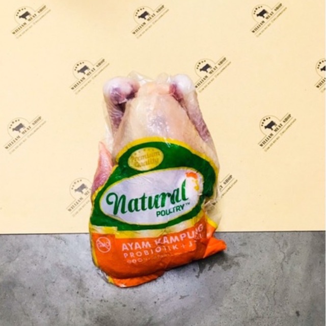 

Ayam Kampung Organik Probiotik Natural Ploutry Williammeatshop