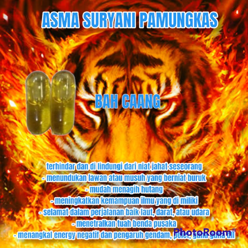 Jual ASMA SURYANI PAMUNGKAS Shopee Indonesia