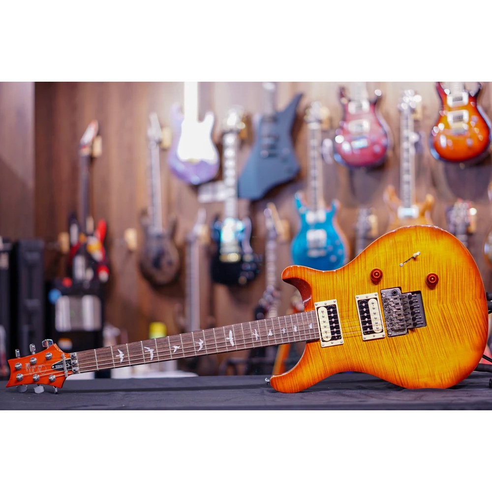 PRS SE Custom 24-Floyd Rose Tobacco Sunburst