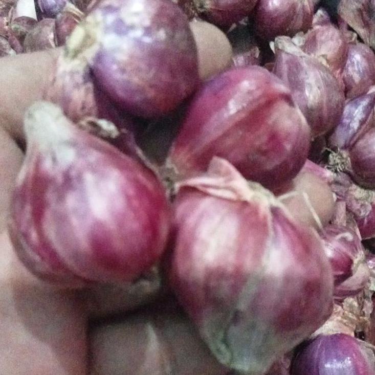 

Harga Grosir--BAWANG MERAH BREBES PILIHAN BESAR 1KG