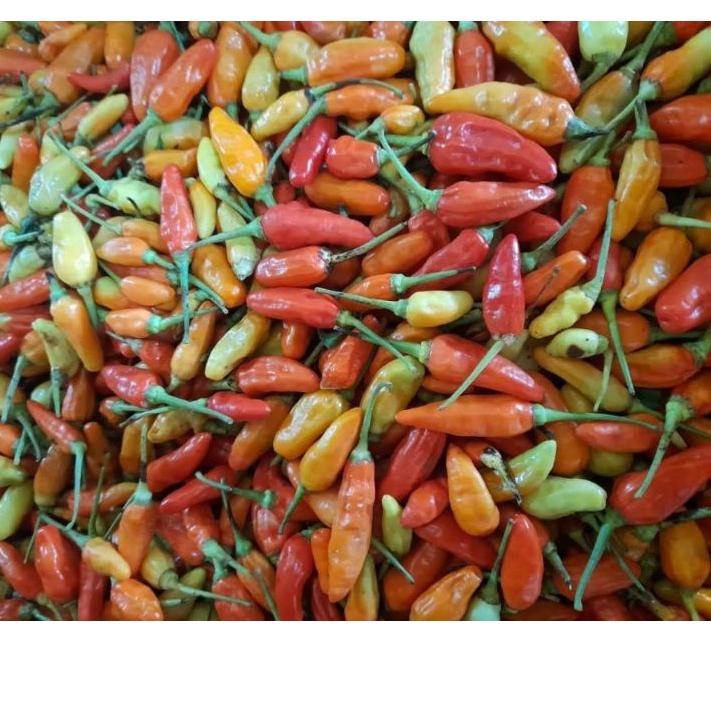 

✨9.9✨ CABE RAWIT MERAH 1kg buruan