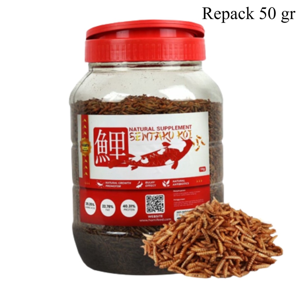 Maggot Larva BSF Kering 50gr Magot Makanan Ikan Hias Arwana Koi Louhan