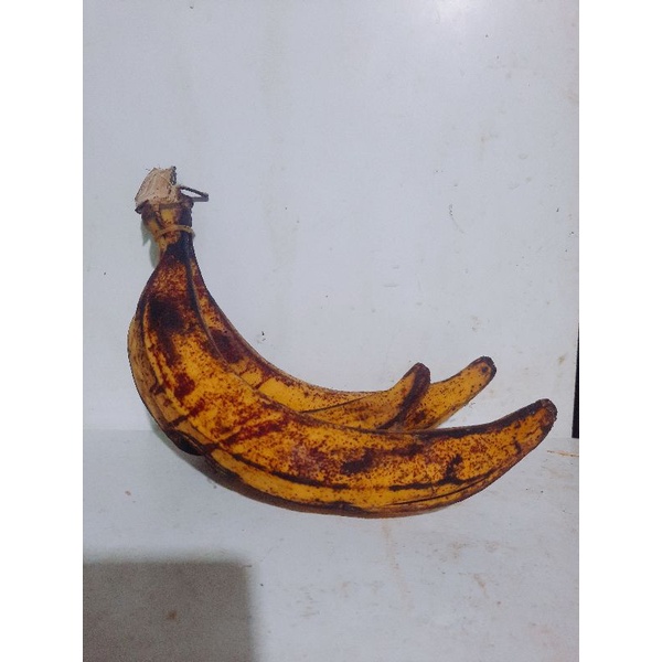 

pisang tanduk 1 kg