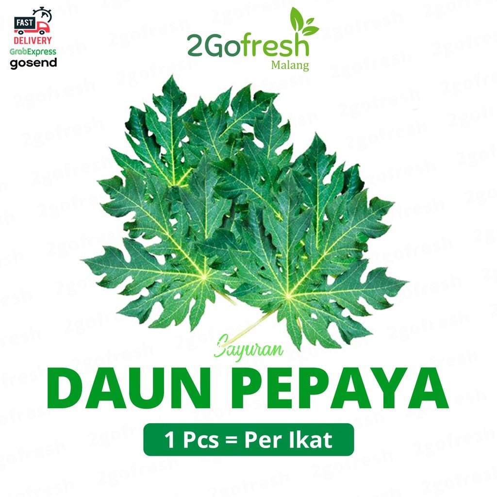 

Sayur Daun Pepaya/ Papaya Leaf Fresh - Sayuran