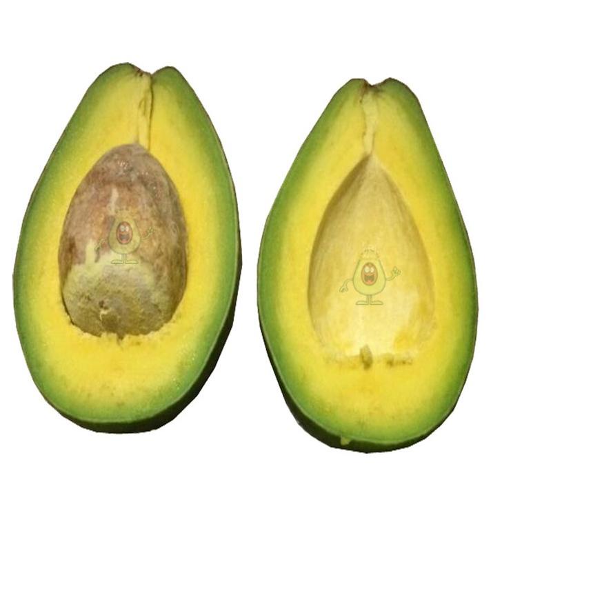 

SALE✅(JM) ALPUKAT MENTEGA JUMBO (1 KG)|SQ5