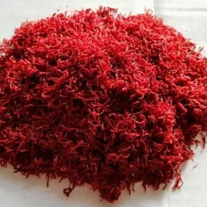 

Terbatas.. Saffron spanyol premium quality safron kuma kuma asli spain spanish 4g NDD