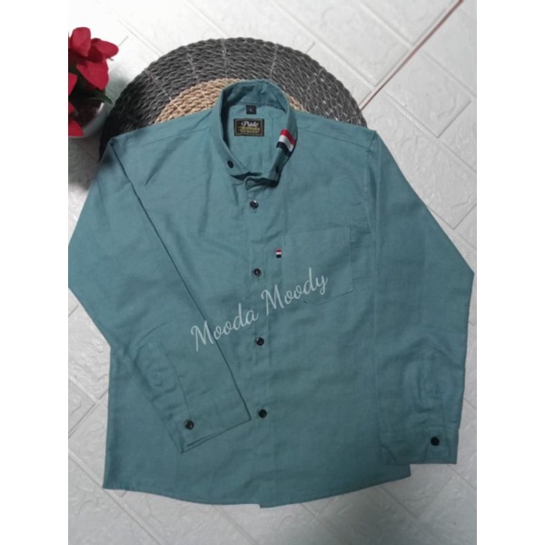 Pridemerch - Kemeja Anak Laki Laki Lengan Panjang Warna Hijau Wardah Kemeja Anak Biru Wardah Kemeja 