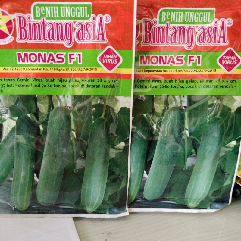 TIMUN MONAS FI#BENIH BERKWALITAS