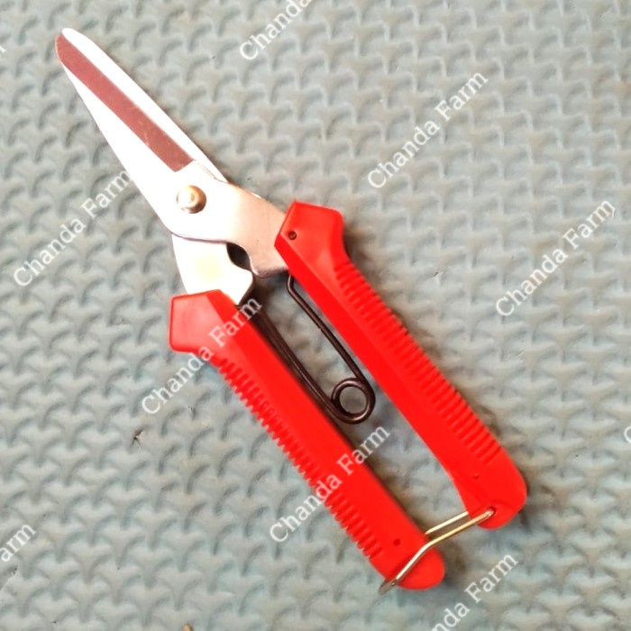 

Sale!!! Gunting Stek Camel 7" Jl-905 Stainless Steel Terlaris