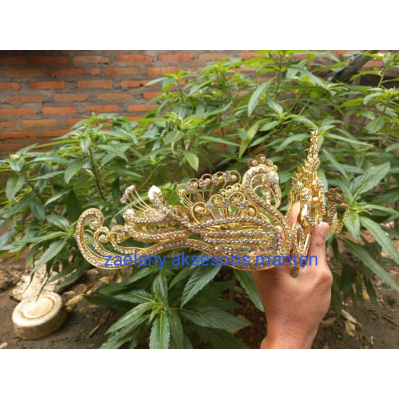 SIGER MERAK PREMIUM TERBARU