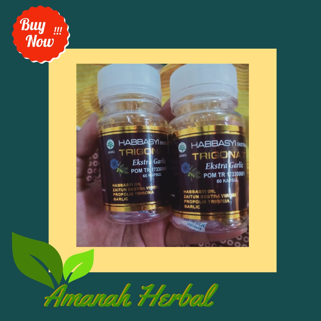 HABBASYI TRIGONA 77 EKSTRAK GARLIC