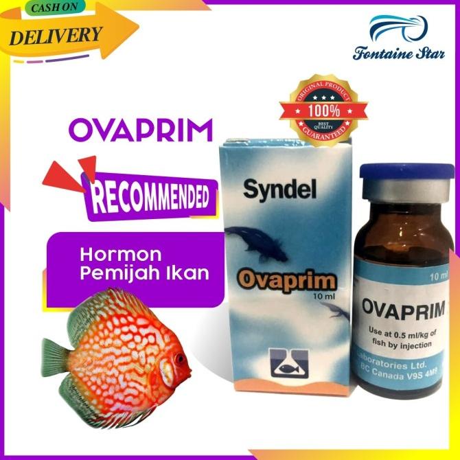 Ovaprim Syndel Hormon Untuk Pemijahan Semua Ikan