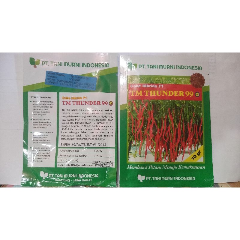 Benih cabe hibrida f1 Tm thunder 99