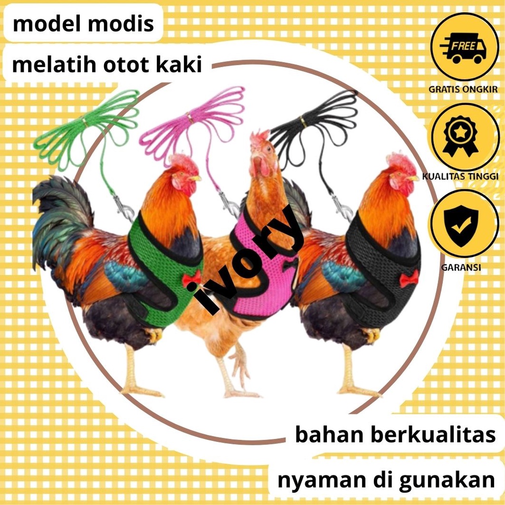 baju alat penguat otot kaki ayam aduan ivory