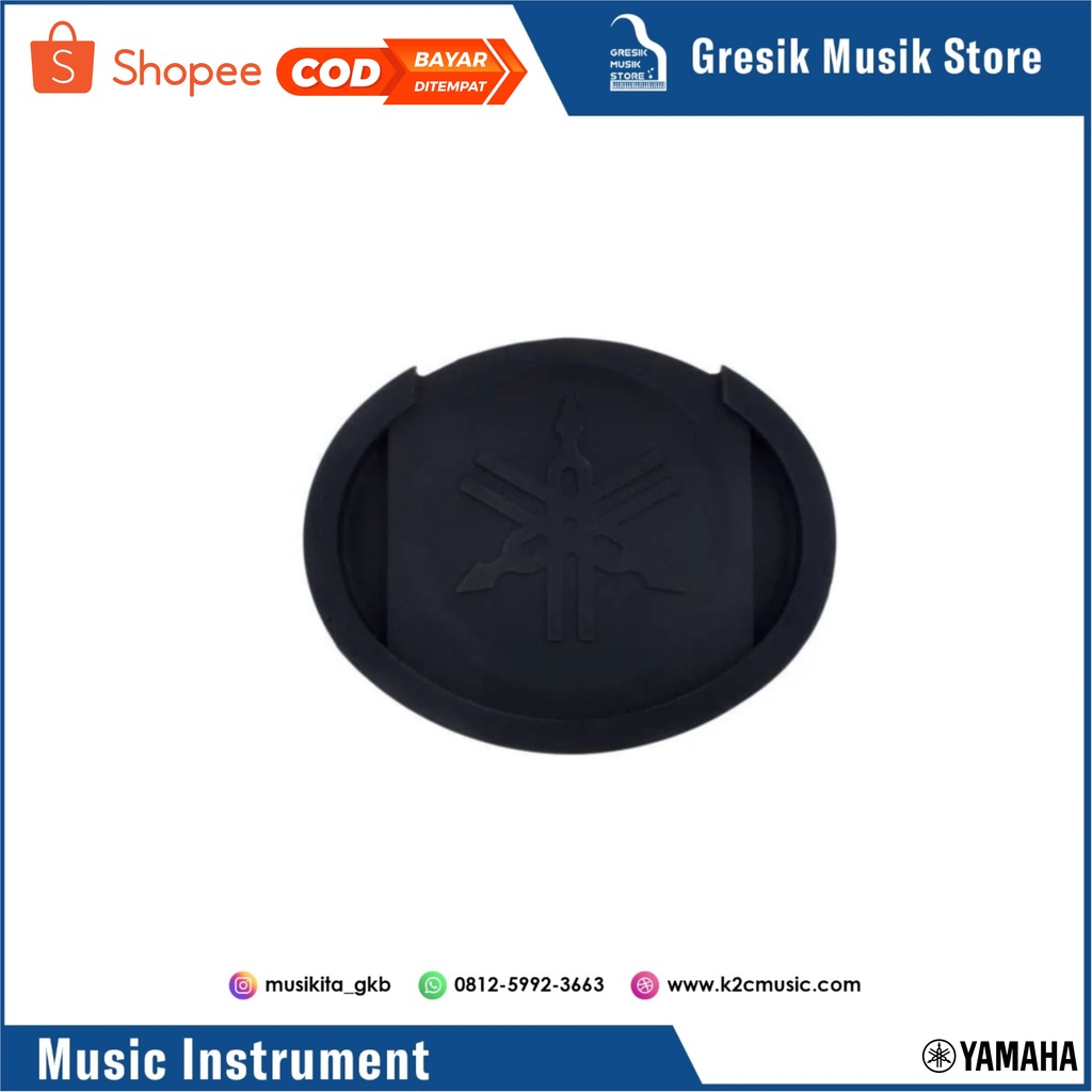 Yamaha Sound Hole APX Series