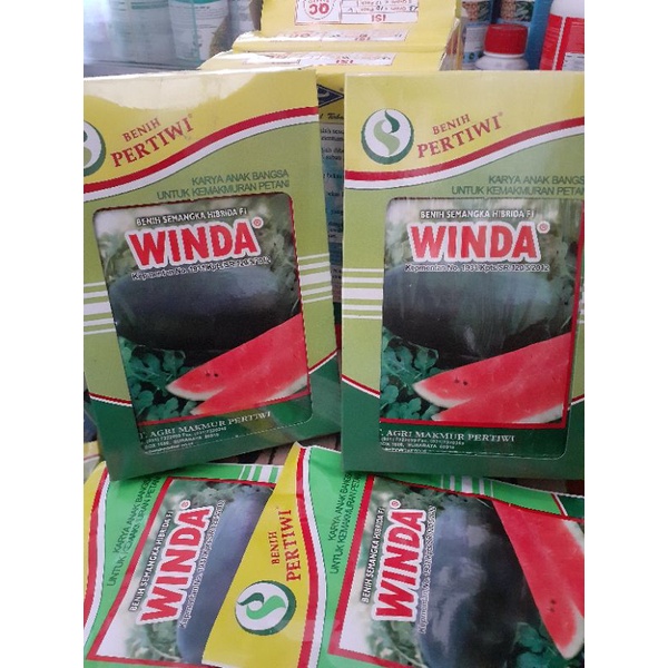 Benih Semangka Winda 20gr / Semangka Inul Winda Pertiwi exp panjang / Benih semangka Hibrida F1 Wind