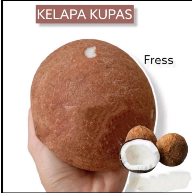 

Buah Kelapa tua KUPAS besar 1 butir untuk santan parut bumbu masak