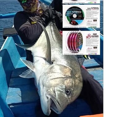 BISA COD ✔️Senar PE FALCON Super Braid X8 - 100 meter|RA2