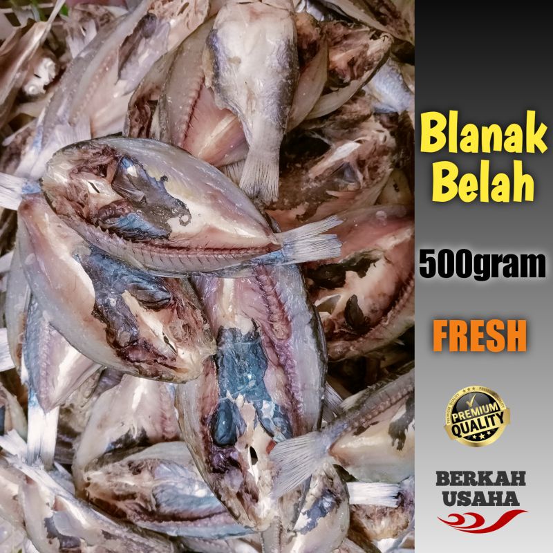 

IKAN ASIN BLANAK BELAH FRESH KERING 500gram