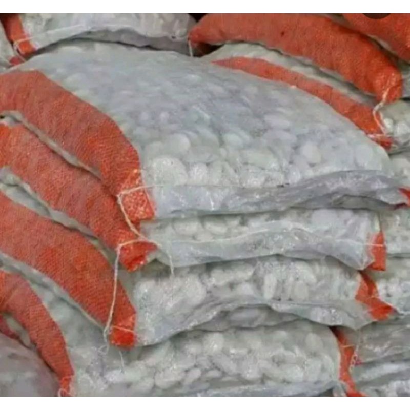 batu koral putih untuk taman